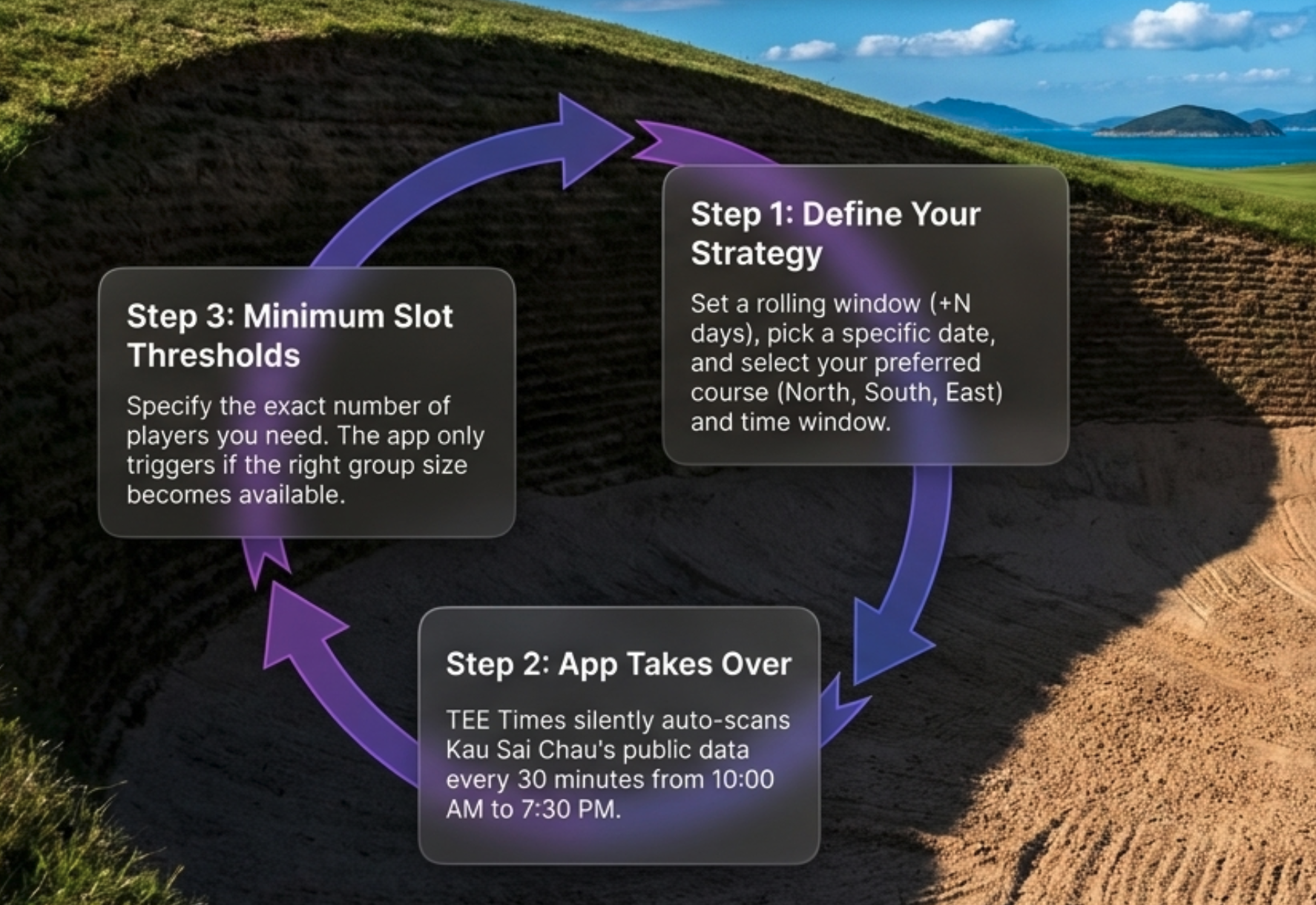 Solution companion workflow diagram